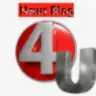 NewsBlog4U Official Logo